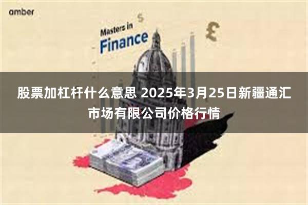 股票加杠杆什么意思 2025年3月25日新疆通汇市场有限公司价格行情