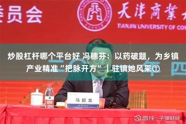 炒股杠杆哪个平台好 冯穗芬：以药破题，为乡镇产业精准“把脉开方”｜驻镇她风采①
