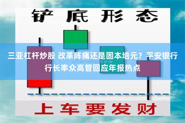 三亚杠杆炒股 改革阵痛还是固本培元？平安银行行长率众高管回应年报热点