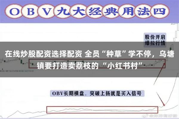 在线炒股配资选择配资 全员“种草”学不停，乌塘镇要打造卖荔枝的 “小红书村”
