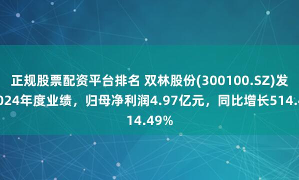 正规股票配资平台排名 双林股份(300100.SZ)发布2024年度业绩，归母净利润4.97亿元，同比增长514.49%