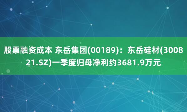 股票融资成本 东岳集团(00189)：东岳硅材(300821.SZ)一季度归母净利约3681.9万元