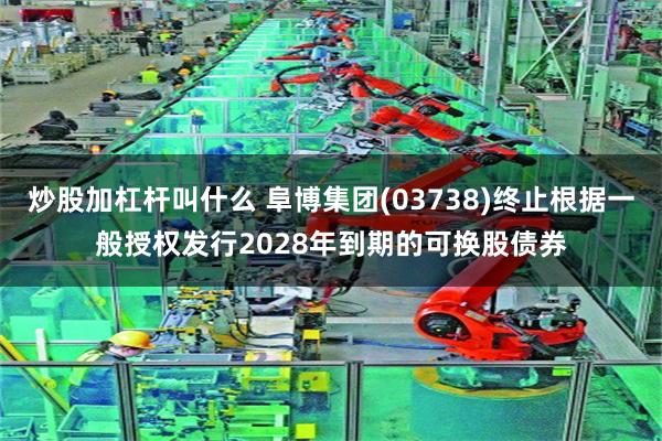 炒股加杠杆叫什么 阜博集团(03738)终止根据一般授权发行2028年到期的可换股债券