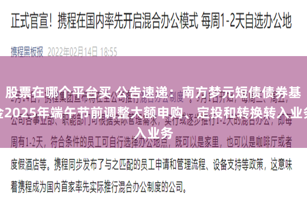 股票在哪个平台买 公告速递：南方梦元短债债券基金2025年端午节前调整大额申购、定投和转换转入业务