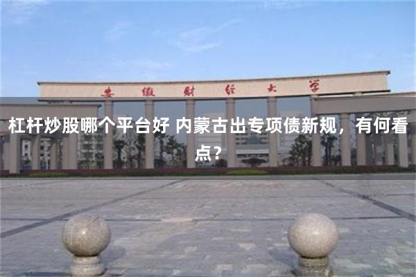杠杆炒股哪个平台好 内蒙古出专项债新规，有何看点？